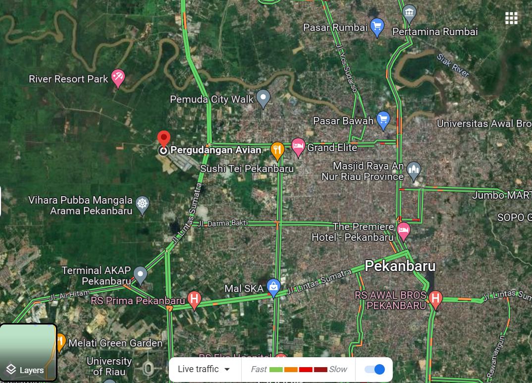 Perkebunan kelapa sawit