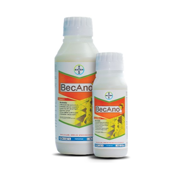 Becano 500 SC