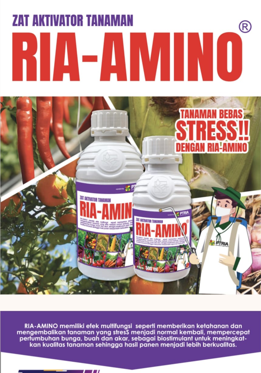 RIA-AMINO